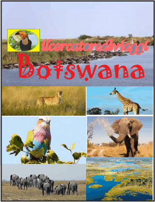 Botswana.web