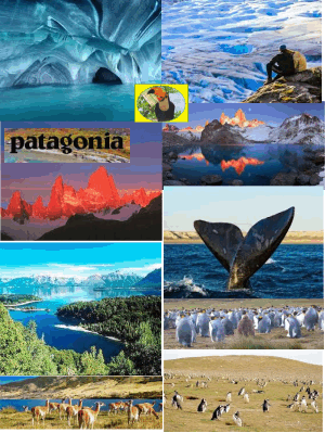 patagonia.web